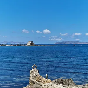 Daniel's Trapani