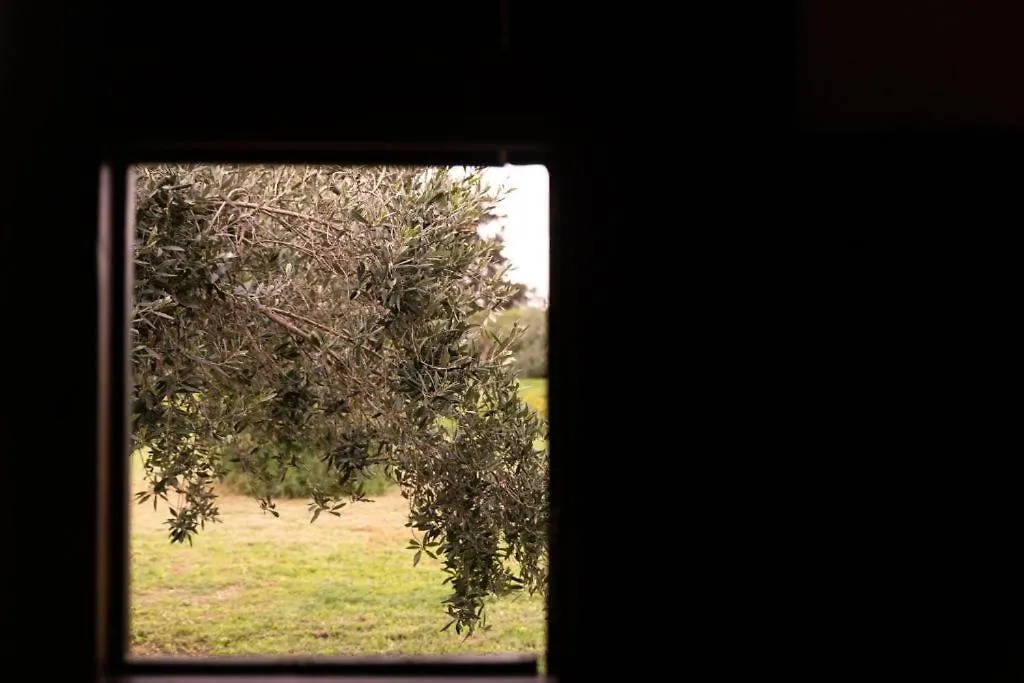La Baronia Guest House Trapani